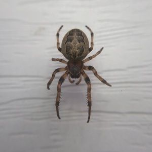 Meet your Posher, Catherine